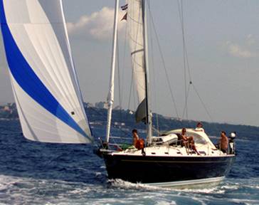 hanse411b.jpg