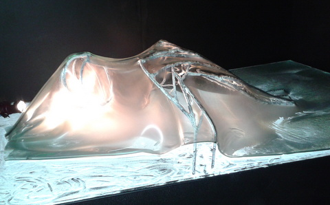 20140819_120344.jpg