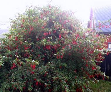 20140817_170851.jpg