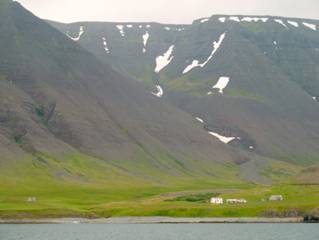 P1100799.JPG